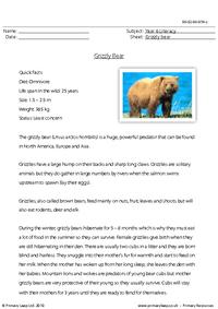 Reading comprehension - Grizzly bear