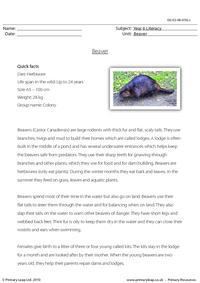 Reading comprehension - Beaver