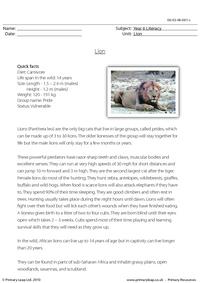 Reading comprehension - Lion