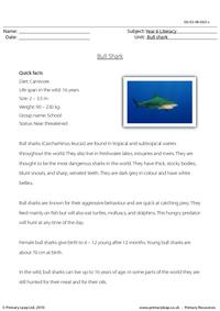 Reading comprehension - Bull shark