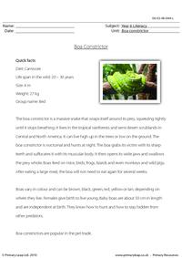 Reading comprehension - Boa constrictor