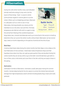 Reading comprehension - Hibernation