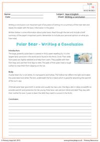 Writing a Conclusion - Polar Bears