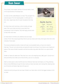 Reading Comprehension - Sun Bear