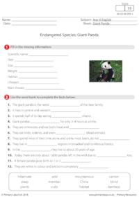 Research Activity - Giant Panda