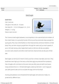 Bald eagle comprehension
