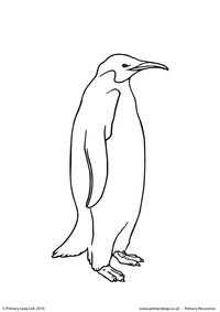 Penguin colouring page 1