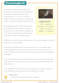 Reading Comprehension - Hummingbirds