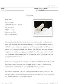 Arctic fox comprehension