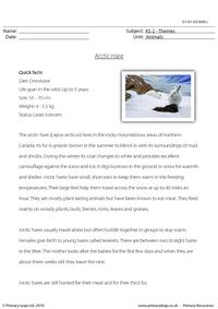 Arctic hare comprehension