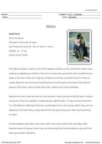 Baboon comprehension