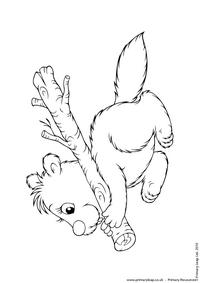 Beaver colouring page 1