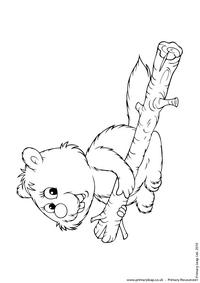Beaver colouring page 2
