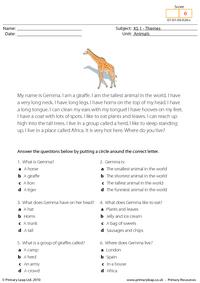 Giraffe comprehension