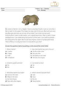 Hippo comprehension
