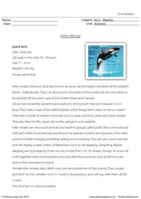 Killer whale comprehension