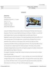 Leopard comprehension