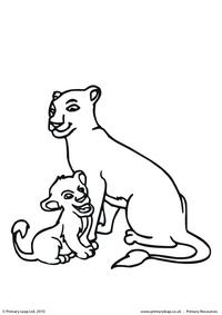Lion colouring page  3