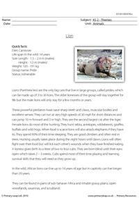 Lion comprehension