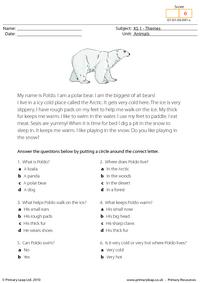Polar bear comprehension