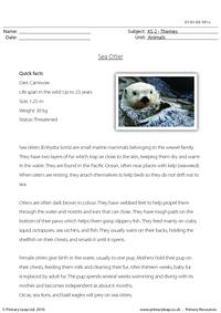 Sea otter comprehension