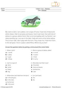 Zebra comprehension