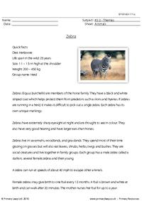 Zebra comprehension