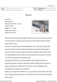 Reading comprehension - Raccoon