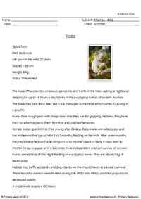 Reading comprehension - Koala