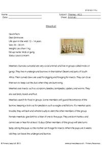 Reading comprehension - Meerkat