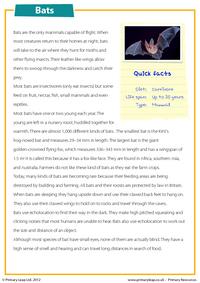 Bats comprehension 
