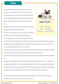 Cats comprehenison