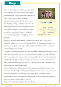 Dogs - Comprehension