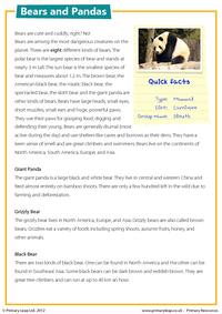 Reading comprehension - Bears and pandas
