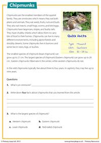 Chipmunks - Reading comprehension