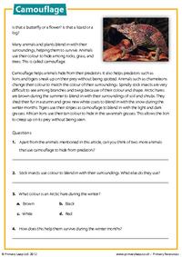 Camouflage - Reading comprehension