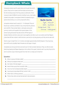 Humpback Whale - Reading Comprehension