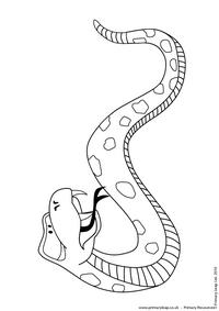 Rattlesnake colouring page