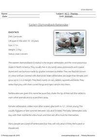 Eastern diamondback rattlesnake comprehension