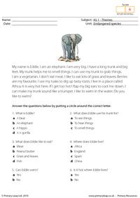 Elephant comprehension