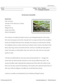 American crocodile comprehension
