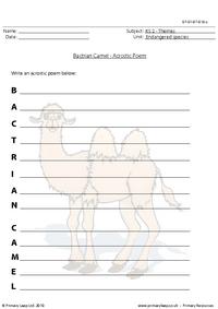 Bactrian camel acrostic poem