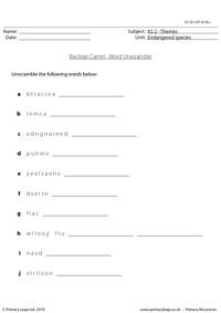 Bactrian camel word unscramble