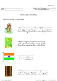 Bengal tiger handwriting