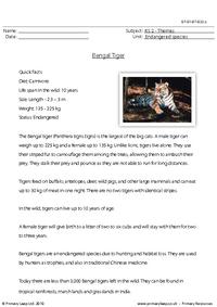 Bengal tiger comprehension
