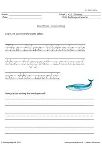 Blue whale handwriting