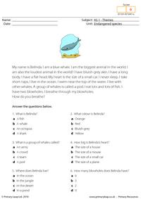 Blue whale comprehension