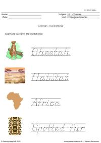 Cheetah handwriting