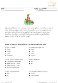 Cheetah comprehension