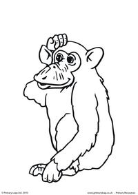 Chimpanzee colouring page 2
